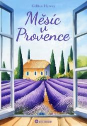 Měsíc v Provence - Romány Měsíc v Provence