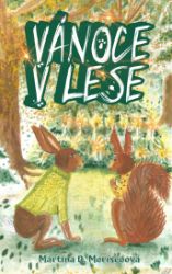 Vánoce v lese - Pro děti a mládež Vánoce v lese