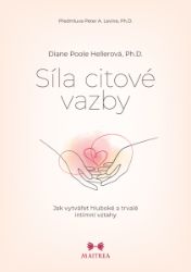 Síla citové vazby - Motivace Síla citové vazby