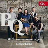 CD Belfiato Quintet - Music for Wind Instruments - Česká klasická hudba na CD Belfiato Quintet - Music for Wind Instruments - CD
