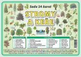 Sada 24 karet - stromy a keře - Výukové přehledy, tabulky, taháky pro ZŠ Sada 24 karet - stromy a keře