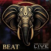 3LP Beat - Live