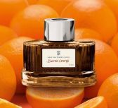 Ink bottle GvFC Burned Orange 75ml