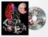 DVD Bjork - Cornucopia: Live