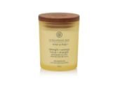 Vonná svíčka CHESAPEAKE BAY CANDLE Strength & Energy 96g
