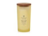 Vonná svíčka CHESAPEAKE BAY CANDLE Strength & Energy 355g