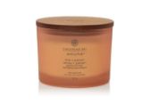 Vonná svíčka CHESAPEAKE BAY CANDLE Love & Passion 312g / 3 knoty