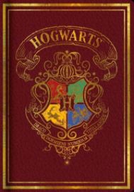 Harry Potter Zápisník - Colourful červený - Pro fanoušky Harry Potter Zápisník - Colourful červený