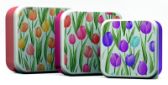 Svačinový box 3ks - M/L/XL - Tulipány