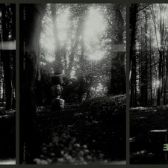LP Eyolf Dale - The Wayfarers (Green vinyl)