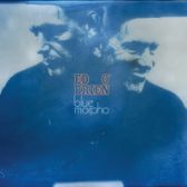 CD Ed O'Brien - Blue Morpho