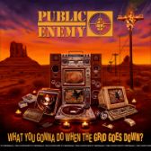 CD Public Enemy: What You Gonna Do When The Grid Goes Down