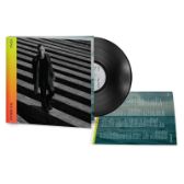 LP Sting - The bridge