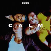 LP 5 SECONDS OF SUMMER - CALM