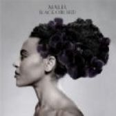 CD MALIA - BLACK ORCHID