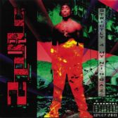 LP 2 PAC - STRICTLY 4 MY N.I.G.G.A.Z.