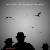 LP MULLER RICHARD - SOCIALNI SIT