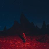LP Phoebe Bridgers - Punisher