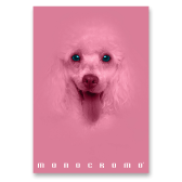 Školní sešit Pigna Monocromo Pink - A4, linkovaný, 38 listů, mix motivů
