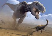 Pohlednice Lovící T-rex