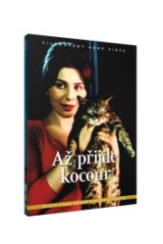 Až přijde kocour/Šest otázek pro Jana Wericha - DVD box
