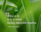 Magnet na lednici - Miluj a žij a žij a miluj každý okamžik naplno.