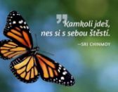 Magnet na lednici - Kamkoli jdeš, nes si s sebou štěstí.