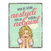 Plechová cedule: Kdo se ráno nestydí, ten se večer nebavil - 30x40 cm