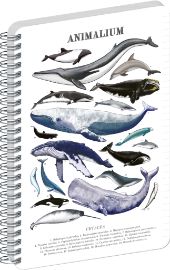 Spirálový blok Animalium - Pod mořem, linkovaný, A5