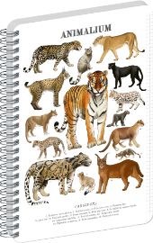 Spirálový blok Animalium - Kočkovité šelmy, čtverečkovaný, A4 - Bloky A4 Spirálový blok Animalium - Kočkovité šelmy, čtverečkovaný, A4