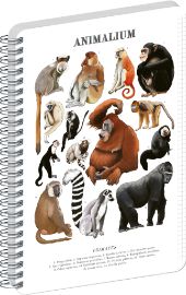 Spirálový blok Animalium - Primáti, čtverečkovaný, A5 - Bloky A5 Spirálový blok Animalium - Primáti, čtverečkovaný, A5
