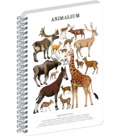 Spirálový blok Animalium - Sudokopytníci, čistý, A5
