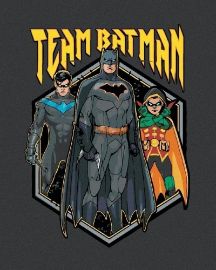 Malování podle čísel 40 x 50 cm Batman - Team