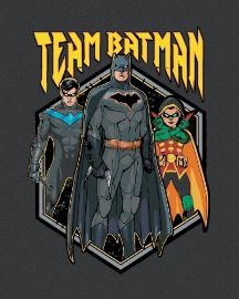 Malování podle čísel 40 x 50 cm Batman - Team
