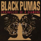 LP Black Pumas - Chronicles of a Diamond (Diamond White Vinyl)