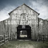 LP NELSON WILLIE - COUNTRY MUSIC