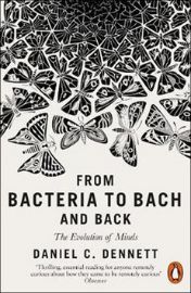 From Bacteria to Bach and Back : The Evolution of Minds