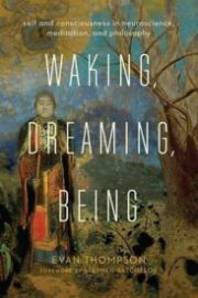 Waking, Dreaming, Being : Self and Consciousness in Neuroscience, Meditation, and Philosop