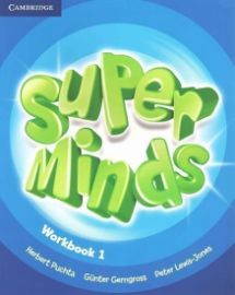 Super Minds 1 Workbook