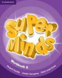 Super Minds 6 Workbook