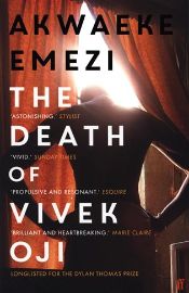 The Death of Vivek Oji