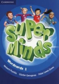 Super Minds Level 1 Wordcards (Pack of 81)