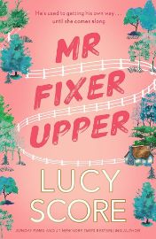 Mr Fixer Upper: the new romance from the bestselling Tiktok sensation!