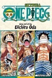One Piece Omnibus 10 (28, 29, 30) - One Piece v angličtině One Piece Omnibus 10 (28, 29, 30)