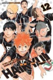 Haikyu!! 12 - Haikyu v angličtině Haikyu!! 12