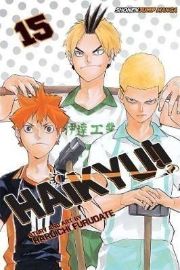 Haikyu!! 15 - Haikyu v angličtině Haikyu!! 15