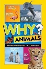 Why? Animals