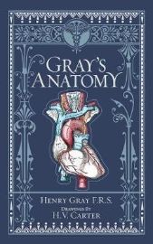 Gray's Anatomy (Barnes & Noble Collectible Classics: Omnibus Edition) - Barnes & Noble Leatherbound Classics Gray´s Anatomy (Barnes & Noble Collectible Classics: Omnibus Edition)