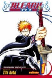 Bleach 1 (anglicky)