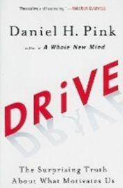 Drive : The Surprising Truth About What Motivates Us